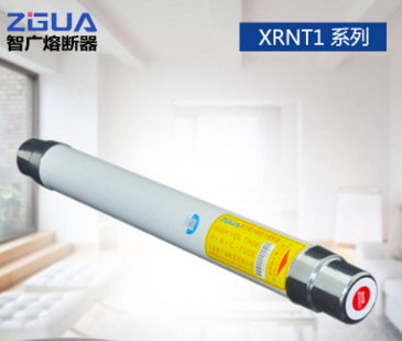 厂家直销 SKLAJ XRNT1-12KV 160A 变压器保护高压限流熔断器
