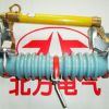 厂家直销RW11-12KV100A户外高压跌落式熔断器