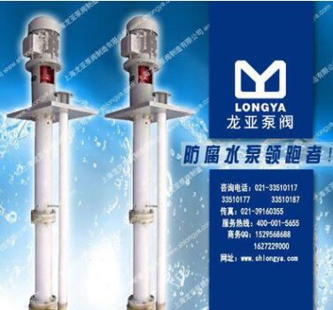 100FYS免维护液下酸液泵 YB90S-2Conducti图3