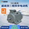 YE3系列超高效三相异步电动机 1.5kw-90kw 机械设备用电机