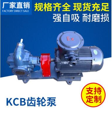 厂家直销KCB-200齿轮泵 齿轮油泵 小型泵 润滑油泵 长期现货销售