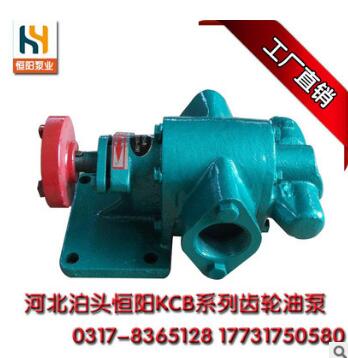 KCB-300系列齿轮泵，品种齐全，质优价廉，售后有保证图2