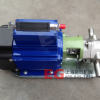 厂家直销 WCB型手提式不锈钢齿轮泵 单相防爆油泵 油桶 WCB-75
