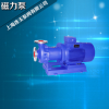 上海连玉 易威奇小型耐腐蚀不锈钢磁力泵 上海新型高压卧式磁力泵