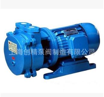 3KW 上海厂家SK-1.5型直联式水环真空泵