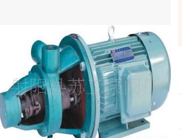 厂家直销 1W2.4-10.5 1W2.5-12 旋涡泵 旋涡泵 锅炉给水泵