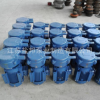 【江苏盐泵】 SZG - 8型真空泵 （原盐城市水泵厂）专业生产