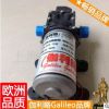 DPS直流隔膜水泵 微型高压水泵 微型隔膜泵 伽利略隔膜泵