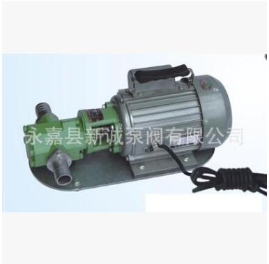WCB齿轮油泵 齿轮泵 手提式齿轮输油泵 电动抽油泵