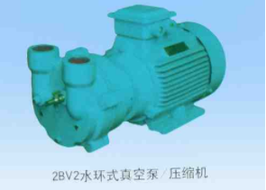 SKA（2BV）系列水环真空泵及压缩机