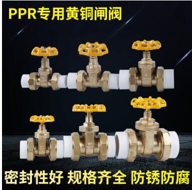 PPR双活接黄铜闸阀自来水总阀 水管配件阀门手动螺纹连接闸板阀图2