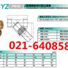 KITZ北泽Y型过滤器/PN16YZ黄铜过滤器