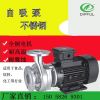 厂家直销 304不锈钢自吸泵 小型自吸泵 220v家用0.25KW 自吸泵