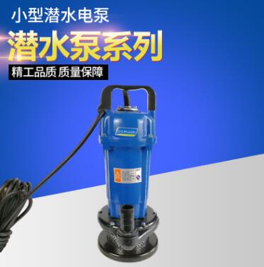 供应小型潜水电泵 220V电压潜水电泵 农业灌溉自来水增压