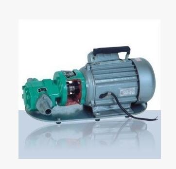 WCB-75热卖正品微型齿轮油泵柴油泵抽油泵输油泵