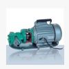 WCB-75热卖正品微型齿轮油泵柴油泵抽油泵输油泵