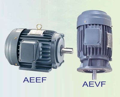 东元电机AEEF AEVF