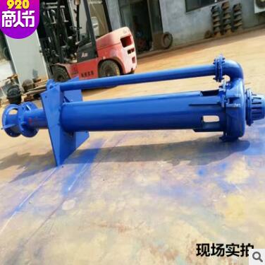 主营石家庄SP（R）型液下立式渣浆泵 腐蚀型渣浆 40PV-SP（R)图3