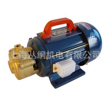 多级旋涡泵7132-1/W550W/锅炉泵/多级泵/水泵