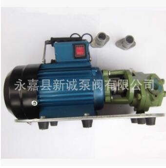 （厂价直销）WCB型齿轮式输油泵、手提式齿轮油泵 小型齿轮油泵