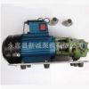 （厂价直销）WCB型齿轮式输油泵、手提式齿轮油泵 小型齿轮油泵