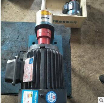泊玉河wxcb微型齿轮泵 加工定制不锈钢转子泵 齿轮泵图3