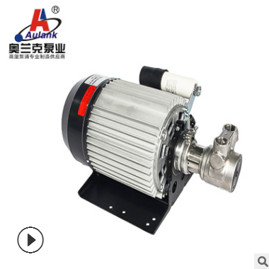 厂家直销 高扬程叶片泵 耐高温热油循环叶片泵VP-05-400