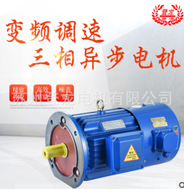 YVP250M-8-30KW 变频调速电机 马达节能电动机图2