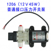 正品普兰迪PLD-1206压力开关泵 洗车喷雾浇花水泵 12V45W 抽水泵