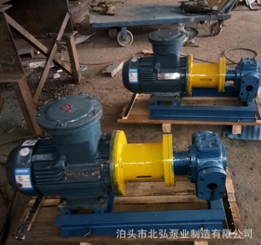 北弘热销磁联保温齿轮泵 零泄露保温齿轮泵 保温磁力泵图2