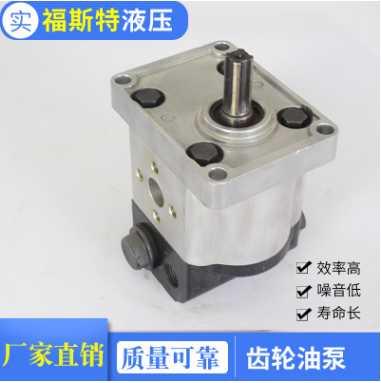 HLCB-恒流齿轮泵齿轮泵 机械专用齿轮油泵液压齿轮泵图3