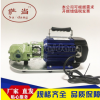 WCB-75齿轮油泵机油泵汽油泵 750W/1100W不锈钢防爆油泵