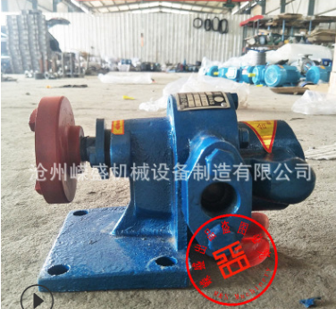 厂家直销 KCB齿轮油泵 齿轮泵泵头/整机 防爆抽油泵 小型齿轮油泵图3