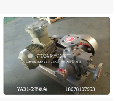 YAB1-5液氨泵生产厂家图3