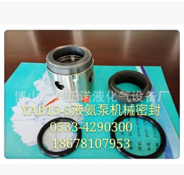 YAB15-5/YAB2-5/液氨泵专用机械密封/滑片图3