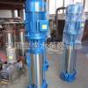 供应25GDL管道多级泵 立式多级管道泵 防爆管道泵 立式循环管道泵