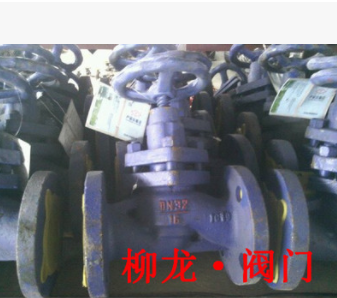 UJ41SM-16Z柱塞铸铁高温截止阀图2