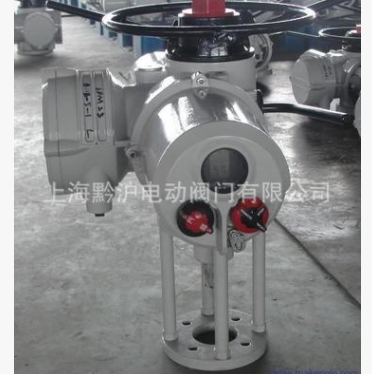 IML20罗托克执行器/罗托克电动执行器接线图/罗托执行器厂家图2