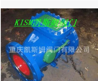 厂家供应 高品质凯斯姆止回阀HH44X-16微阻缓闭止回阀图2