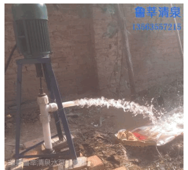 供应鲁莘清泉 22QZ1-40 电动软轴水泵 微型深井泵