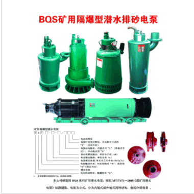 厂家直销BQS矿用隔爆不堵塞耐磨防缠绕大功率潜水污水泵
