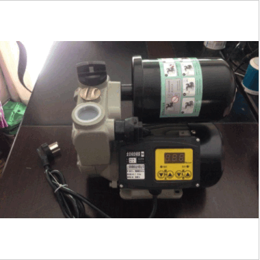 日景款200W 300W 400W 600W 800自吸泵