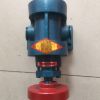 2CY2.1/2.5齿轮泵重油泵渣油泵燃烧器泵筑路泵