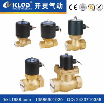 厂家批发US(2L)系列二位二通先导顶针式活塞式高温蒸汽电磁阀全铜
