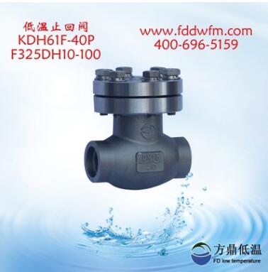 批发KDH61F-40P低温止回阀 品质保证图3