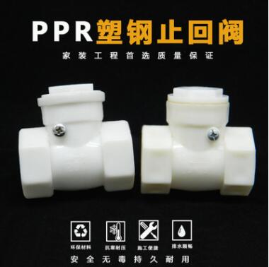 厂家直销 PPR塑钢止回阀20 25 32止水阀逆止阀单向阀水管接头配件图2