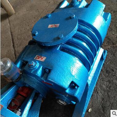 专业生产罗茨真空泵 微型真空泵 高粘度罗茨泵 小型真空批发