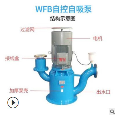 厂家供应WFB自控自吸泵 不锈钢无密封自吸泵立式管道耐腐蚀自吸泵