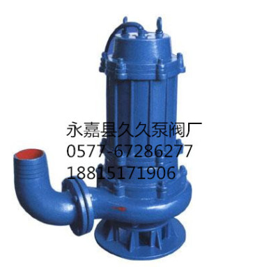 供应久久排污泵