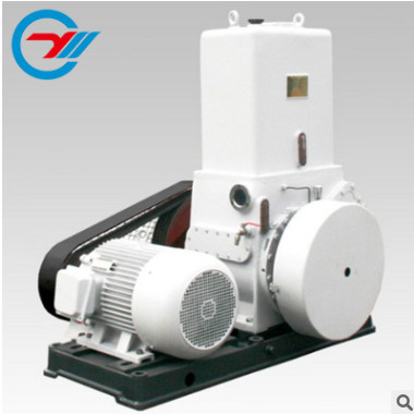 H型滑阀式真空泵 立式旋片滑阀负压微型真空泵机电设备高真空机组